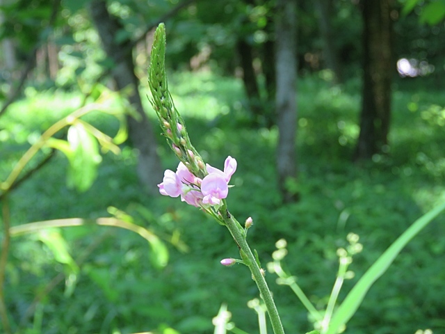 f0357487_21481746.jpg