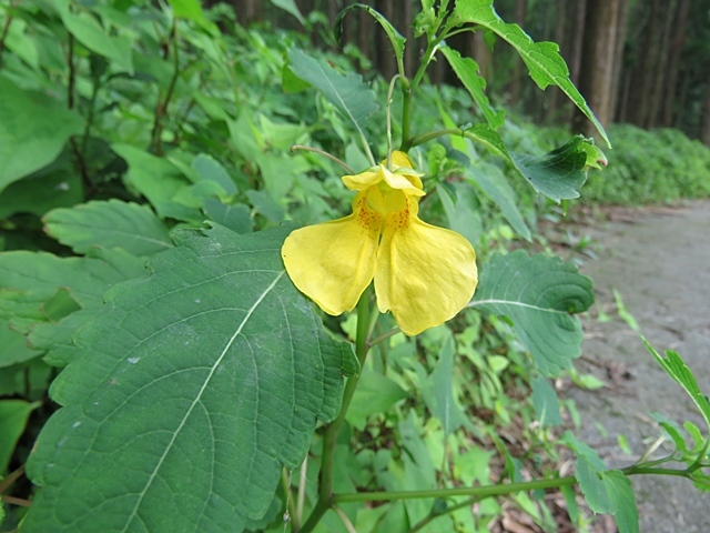 f0357487_22010349.jpg