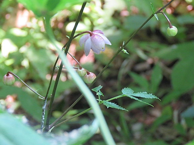 f0357487_22044991.jpg