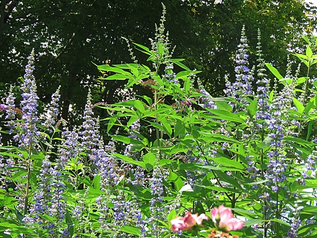 f0357487_22053218.jpg
