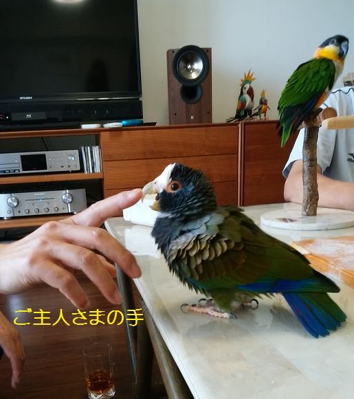 f0234590_10234431.png