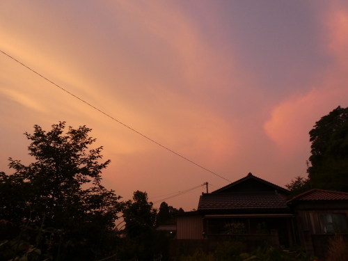 c0108198_14224461.jpg