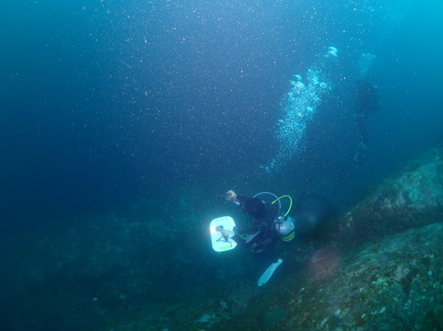 e0115199_15301399.jpg
