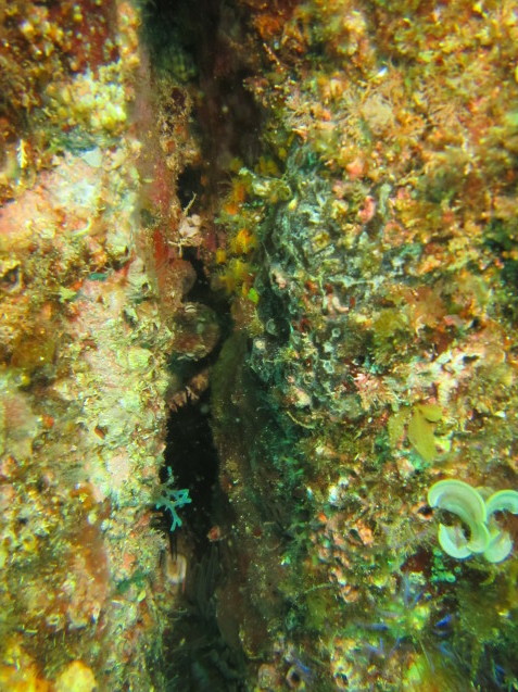 e0115199_15500841.jpg