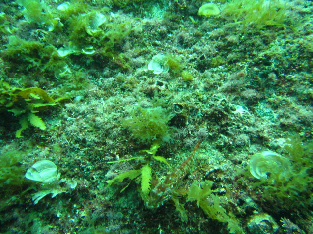 e0115199_15505885.jpg