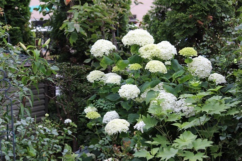 f0325309_18111041.jpg
