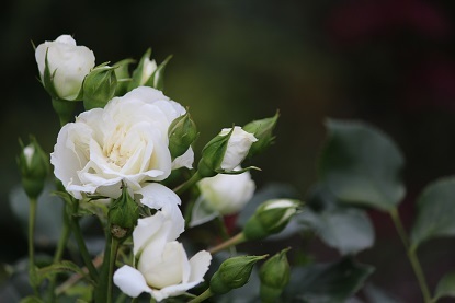 f0325309_18114742.jpg