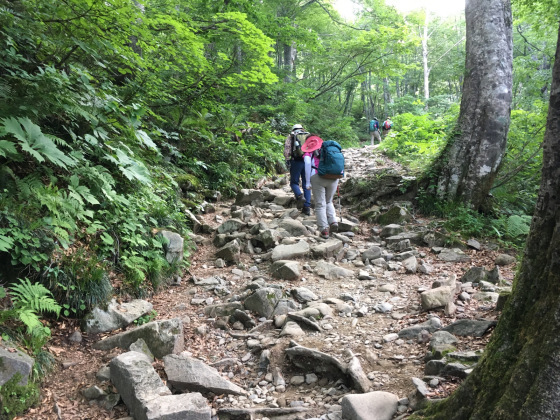 e0132713_06080653.jpg