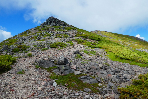 d0170615_14544037.jpg