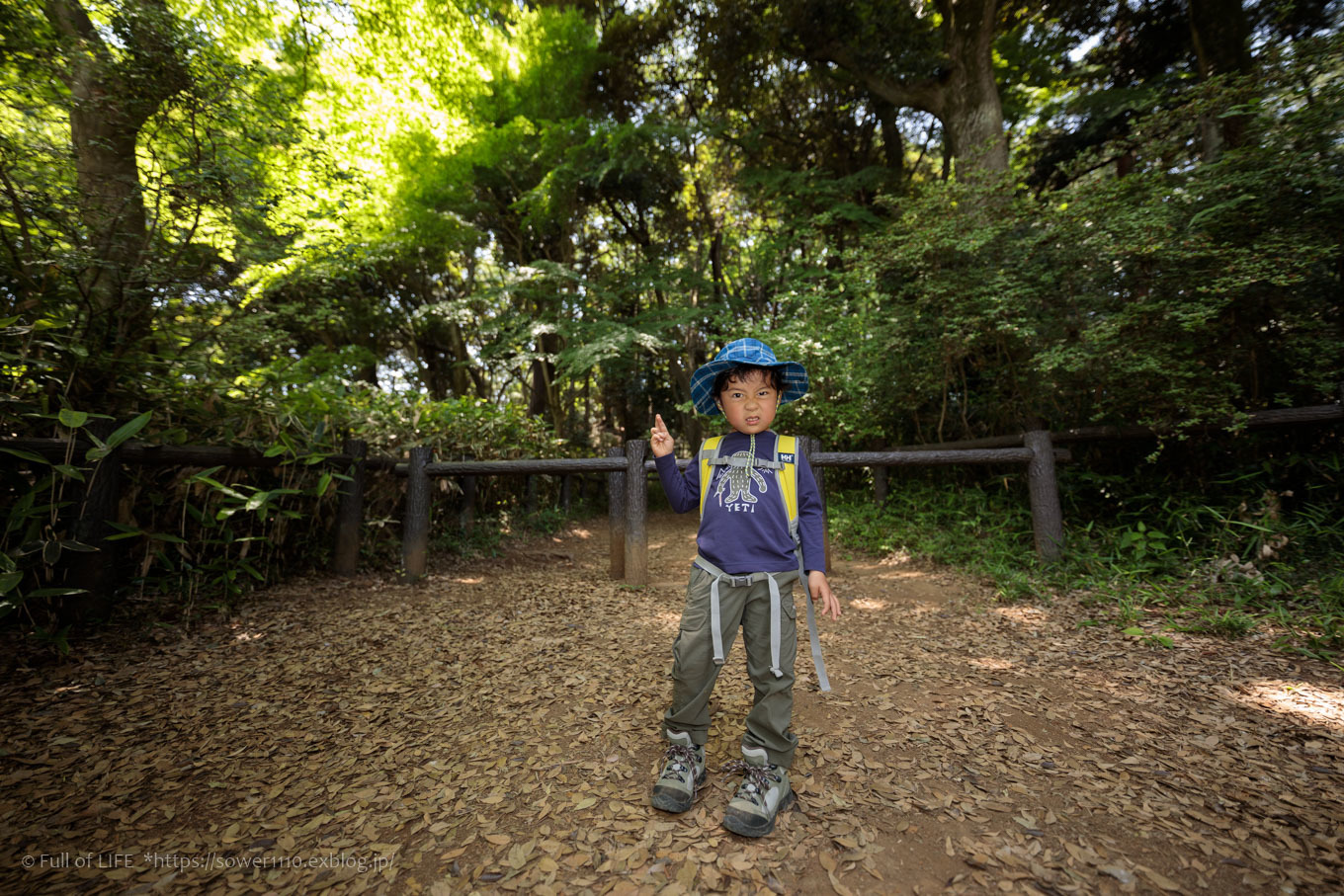 ちびっ子兄弟と5月登山「天覧山」_c0369219_09494927.jpg