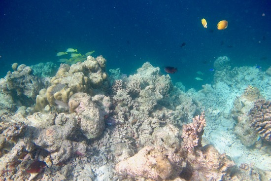 e0387424_18460869.jpg