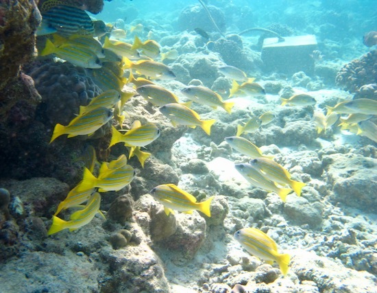 e0387424_18460882.jpg
