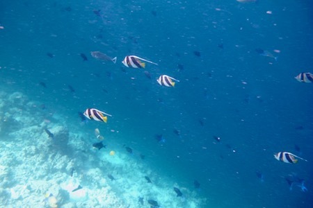 e0387424_18462135.jpg