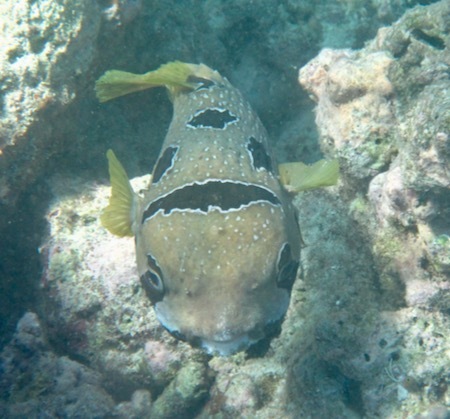 e0387424_18462136.jpg