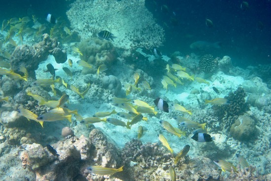e0387424_18462159.jpg