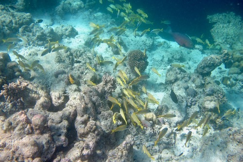 e0387424_18462218.jpg