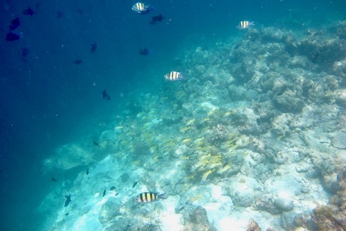 e0387424_18462241.jpg