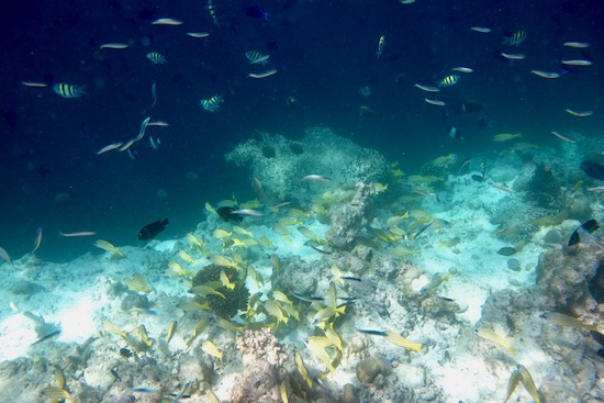e0387424_18463612.jpg