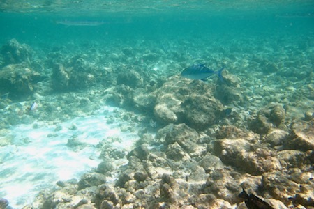 e0387424_18463614.jpg