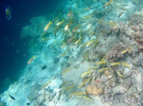 e0387424_18463689.jpg