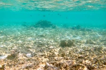 e0387424_18463773.jpg
