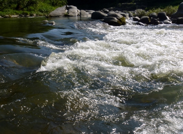d0137326_00291801.jpg