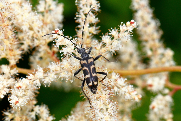 e0337826_23005192.jpg