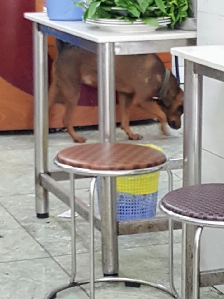 d0269832_11355876.jpeg