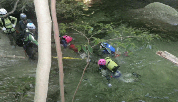 e0371039_6273046.gif