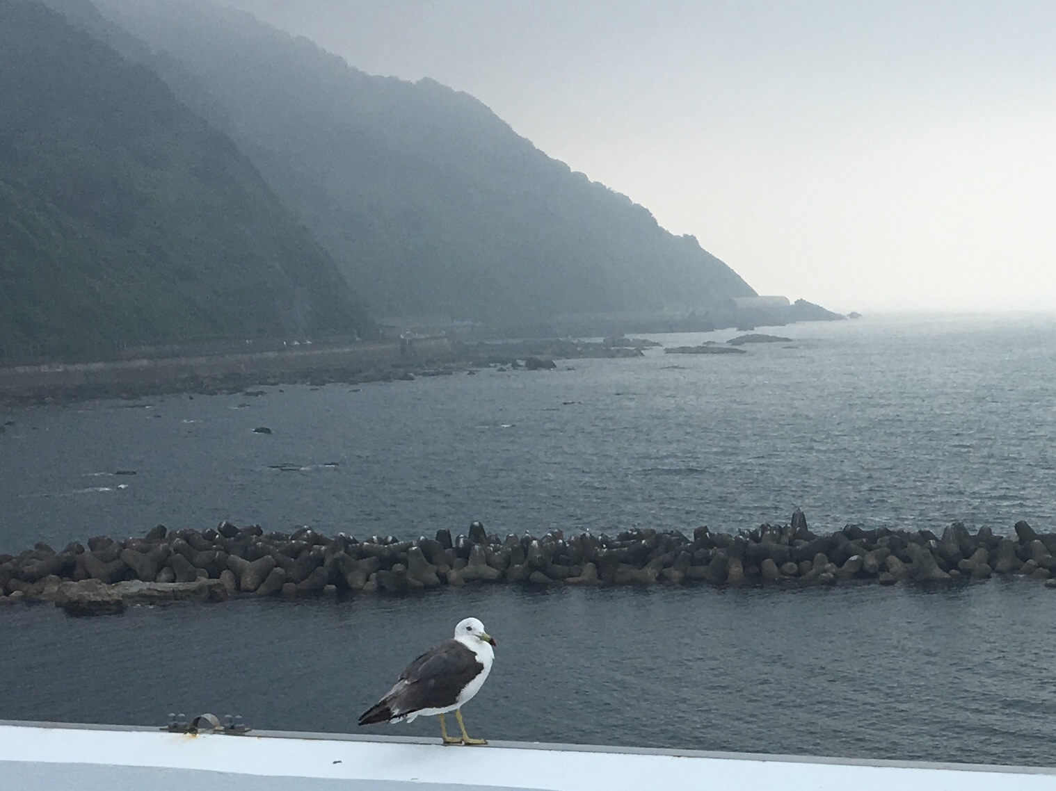 b0330040_01212608.jpeg