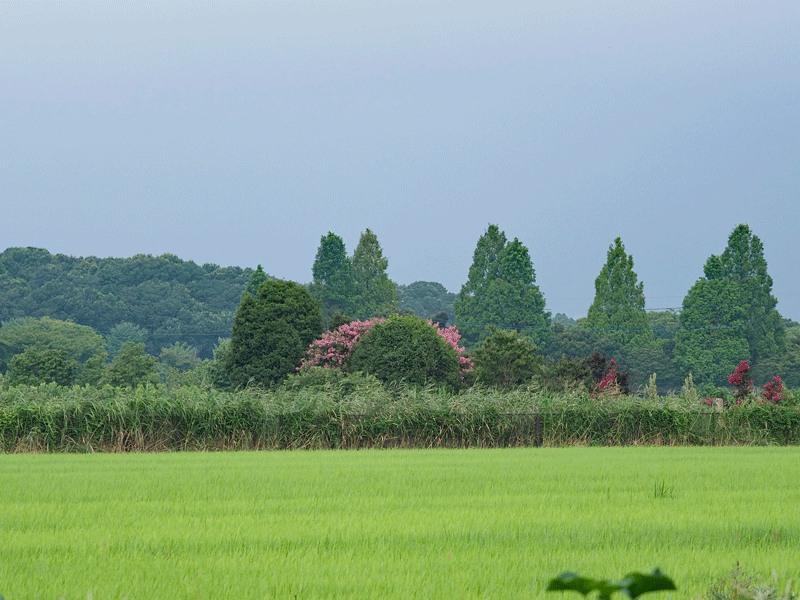 d0290240_09303973.gif