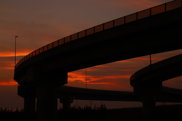 f0346740_21333206.jpg