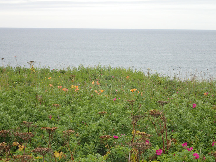 f0214649_03333790.jpg