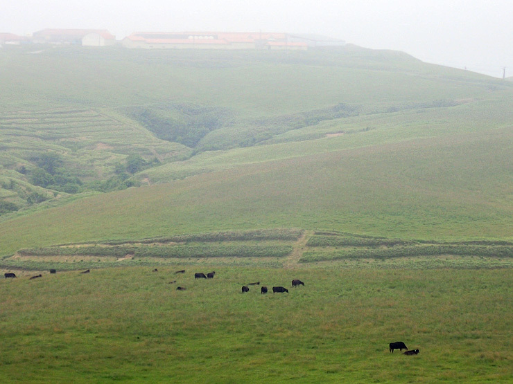 f0214649_03371330.jpg