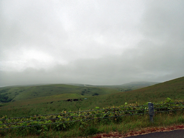 f0214649_03381571.jpg