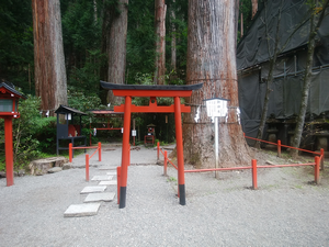 a0057057_10065120.png