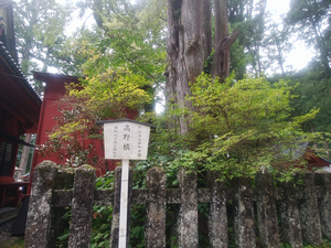 a0057057_10092615.png
