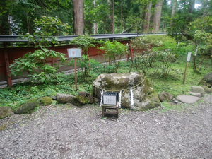 a0057057_10454927.png