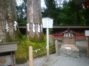 a0057057_15081168.png