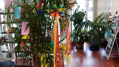 c0214657_11321584.jpg