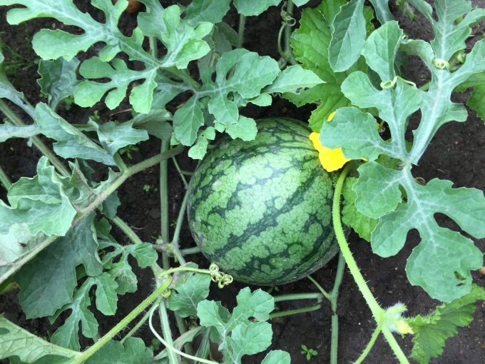 上京します_b0093660_10331812.jpeg