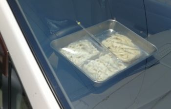 車内で冷凍うどんを解凍し、袋ダシ入れてぶっかけで食う_a0007462_20494715.jpg