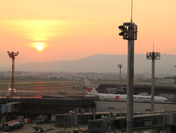 d0202264_718966.jpg