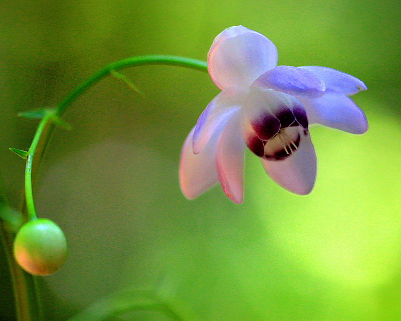 c0305565_17561771.jpg