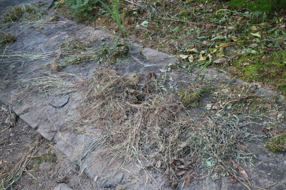 b0224178_10444627.jpg