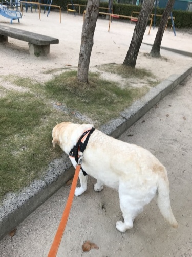 f0315081_22152629.jpeg