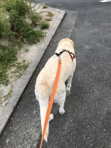 f0315081_22171273.jpeg
