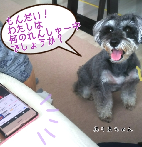 トレーニングブログ_f0357682_01335196.jpg
