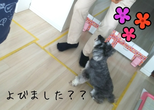 トレーニングブログ_f0357682_01363049.jpg
