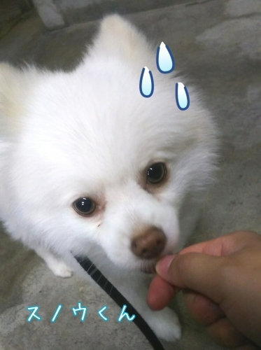 トレーニングブログ_f0357682_01384502.jpg